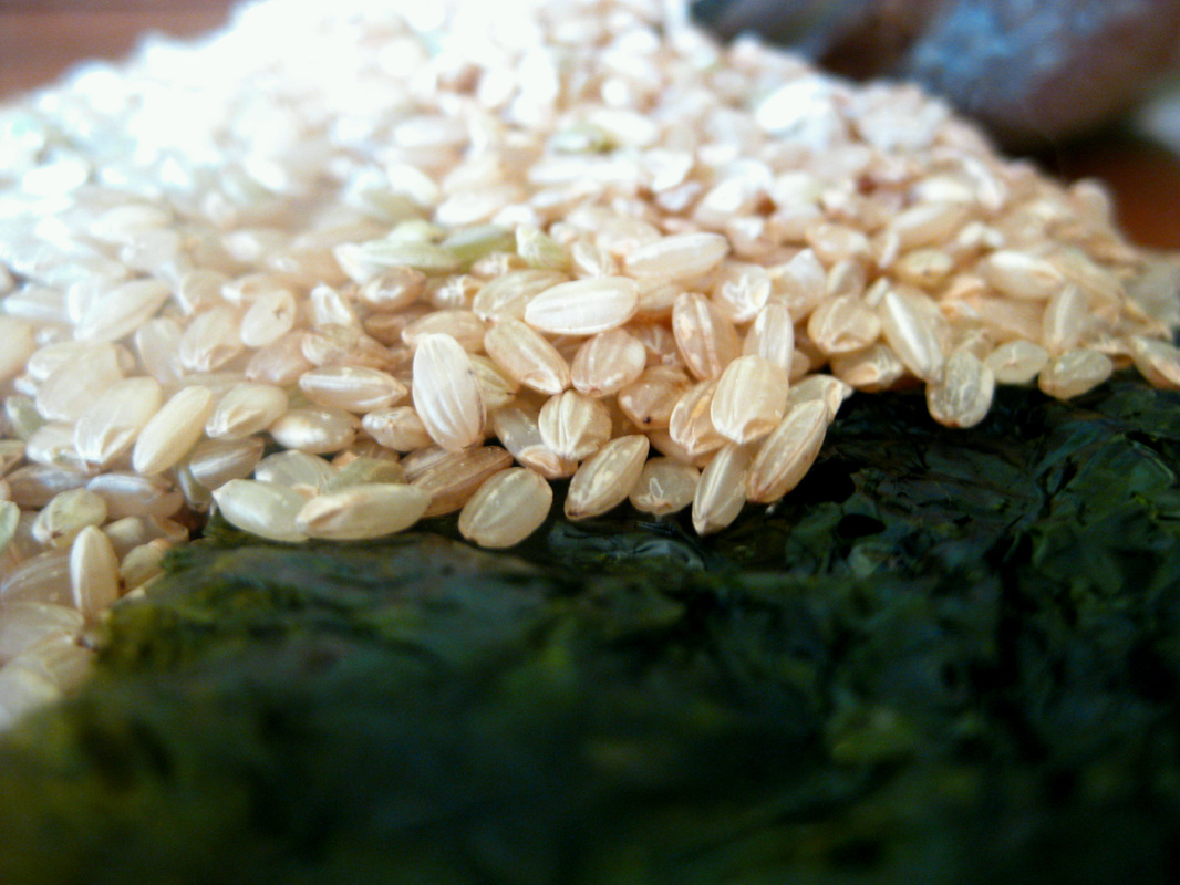 Seaweed and Brown Rice