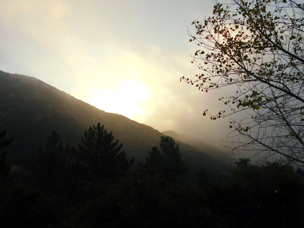 Foggy mountain sun rise