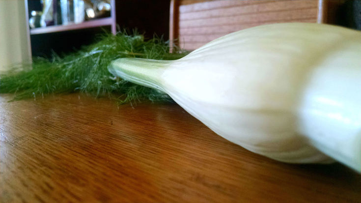About Fennel